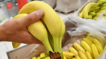 ماذا يحدث لجسمك عند تناول الموز بعد الإفطار في شهر رمضان؟